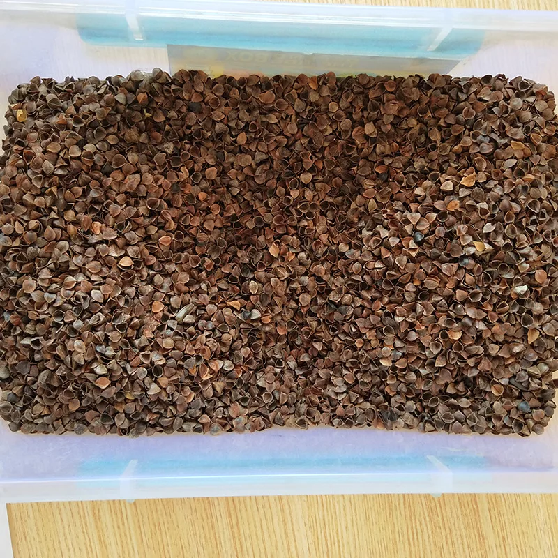 1KG-Bulk-Natural-Dried-Whole-Buckwheat-Hulls-Raw-Buckwheat-Husk-and-Shell-for-Pillow-Filling-Material-Single-Spices-Herbs