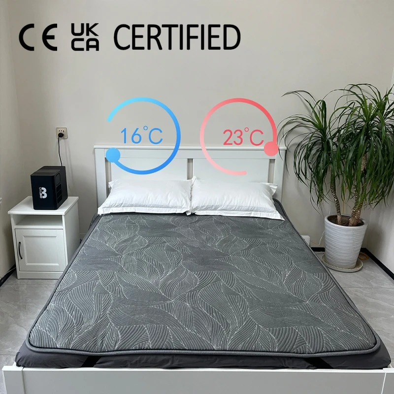 Electric-Battery-Powered-Water-Heating-Blanket-Circulating-Heated-Mattress-Pad-Warming-Cooling-System-for-Home-Use