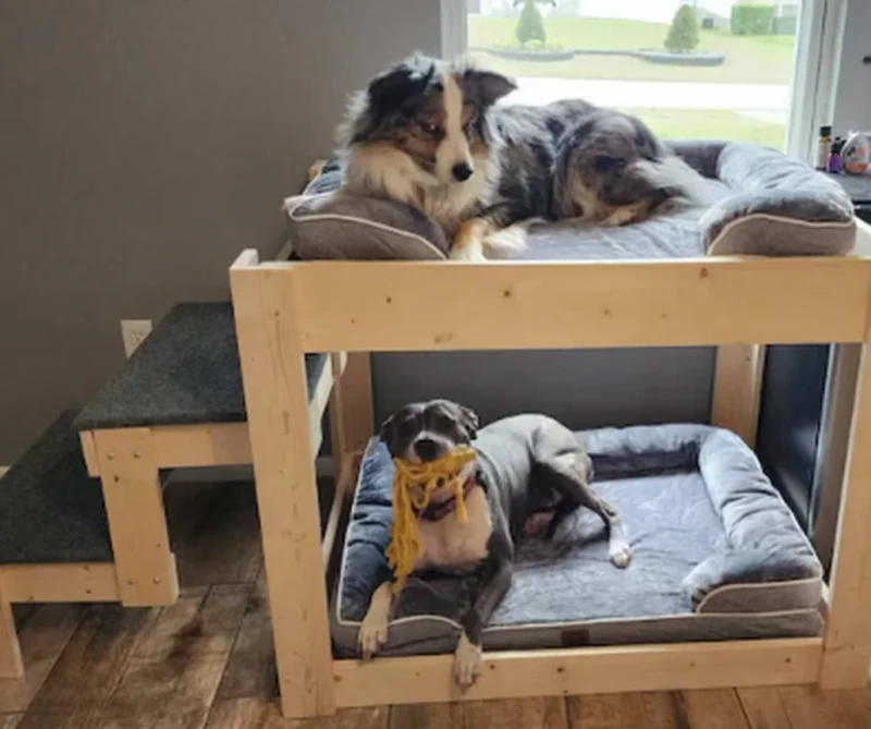 Elevated-Wooden-Dog-Bed-Platform-with-2-Solid-Steps-Large-Dog-Bunk-Bed-for-2-Dogs-Linen-and-Foam-Material-Sustainable