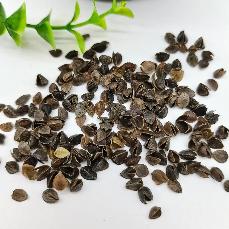 High-Quality-Durable-Natural-Buckwheat-Husk-Shell-Pillow-Bulk-Packed