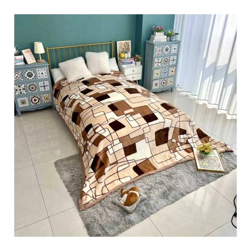 Luxury-2-PLY-Customized-Size-Weight-Design-Double-Thick-Warm-Super-Soft-Mink-Plush-Raschel-Blanket