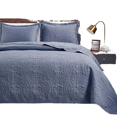 Modern-Style-Coin-Pattern-Quilt-Set-Soft-Blue-Microfiber-Bedspread-for-Queen-Bed-All-Season-3-Piece-1-Quilt-2