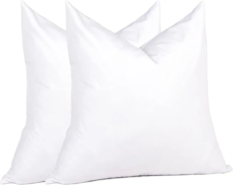 Natural-Goose-Feather-Decor-Pillow-Insert-20x20-White-Cushion-with-Foam-Filling-Set-of-2-for-Couch-Chairs-Office-Apartments