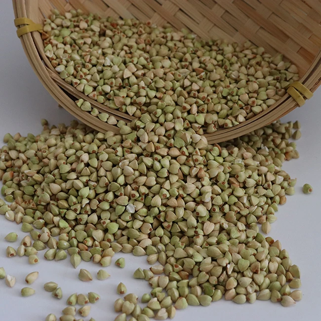 Nihewan-Raw-Buckwheat-Kernel-Support-OEM-ODM-Package-and-Label-Green-Buckwheat
