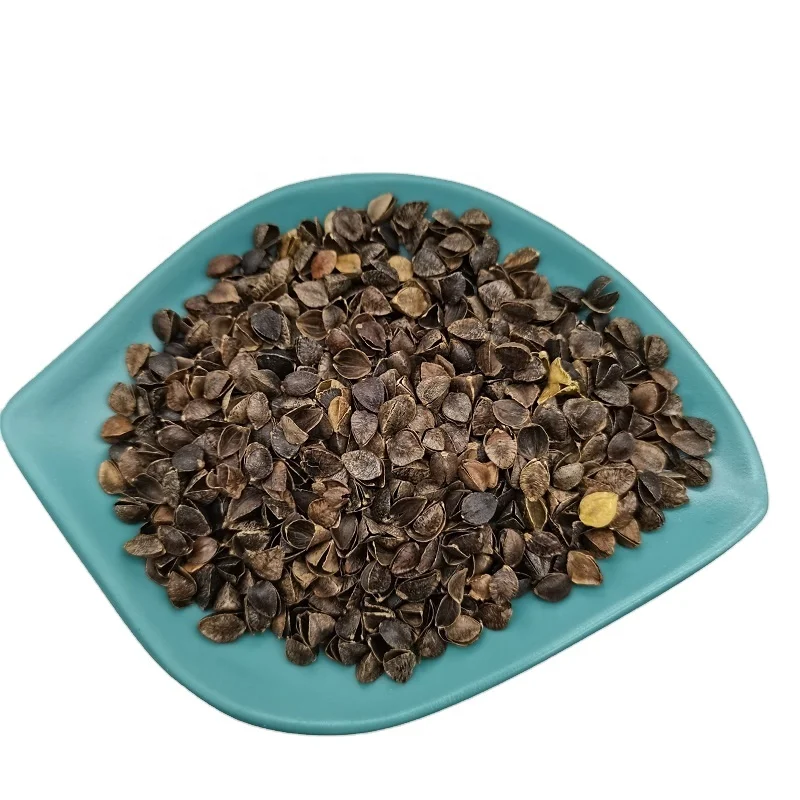 Organic-Natural-Buckwheat-Rice-Husk-Hulls-Buckwheat-Shell-for-Pillow-1
