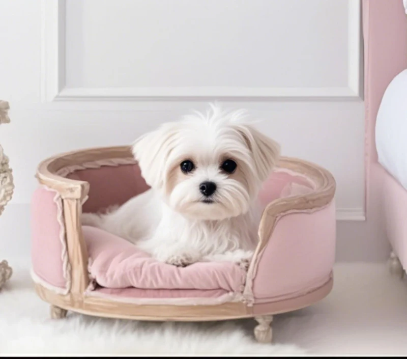 Pink-Pet-Bed-for-Home-Furniture