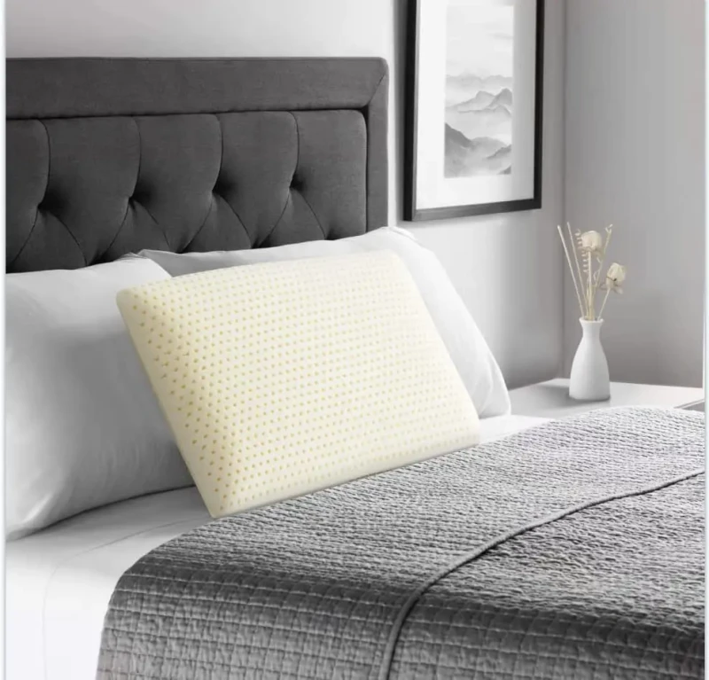 Queen-Medium-Firm-100-Talalay-Latex-Foam-Sleeping-Pillow-Ventilation