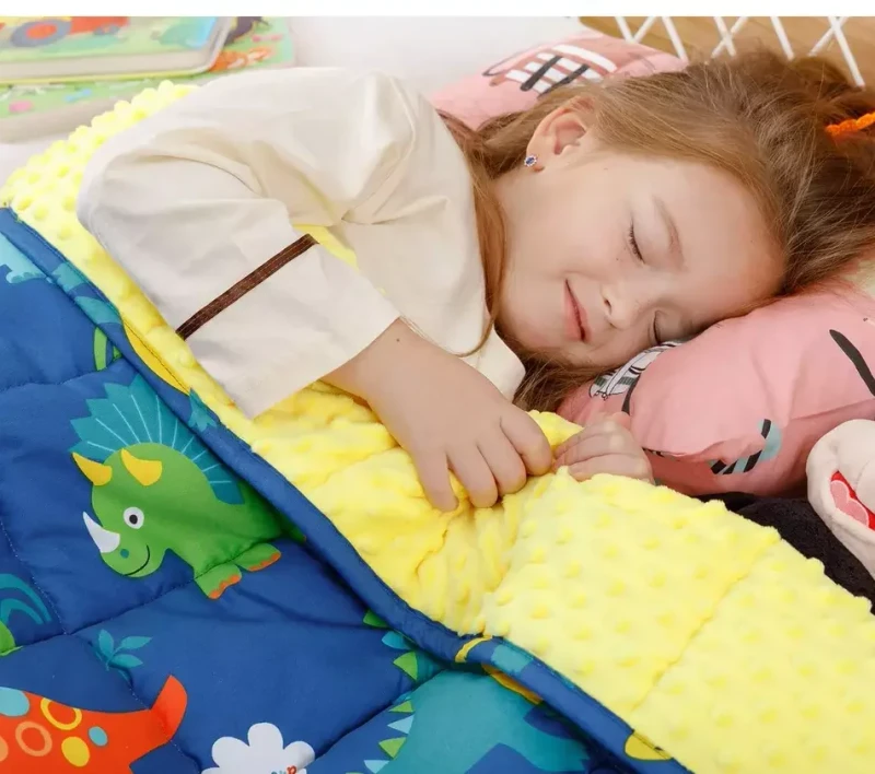 Sample-Available-Weighted-Blanket-Dinosaur-Minky-Fleece-Children-Weighted-Blanket-with-Beads-Weighted-Blanket-for-Kids