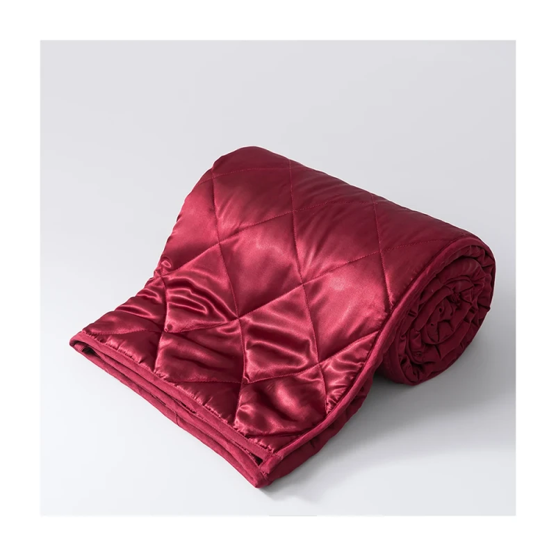 Soft-and-Cozy-Quilted-Polyester-Weighted-Blanket-Home-and-Hotel-Use-Plain-Style